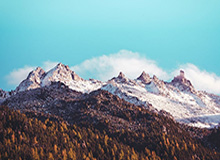 ag体育官网：在娱乐与自律之间，开启专业的体育体验之旅